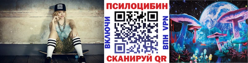 Псилоцибиновые грибы Psilocybe  площадка как зайти  Верхнеуральск 